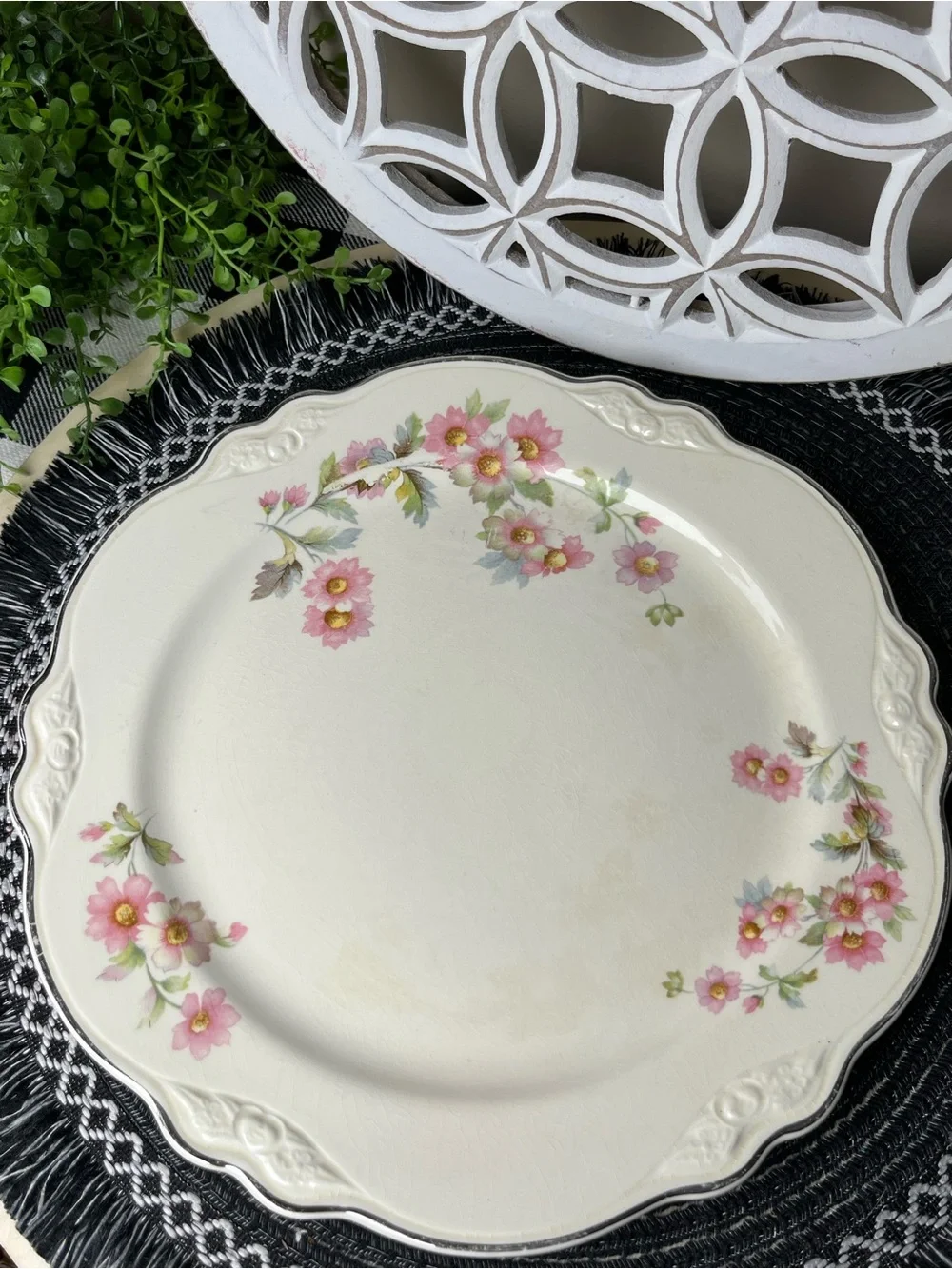 Homer Laughlin Virginia Rose JJ59 Dinner Plate Platinum Trim